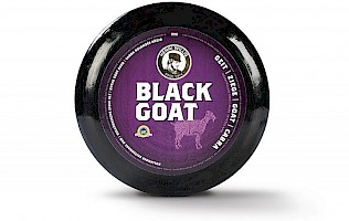 Henri Willig Black Goat, Holländische Ziege Alt
