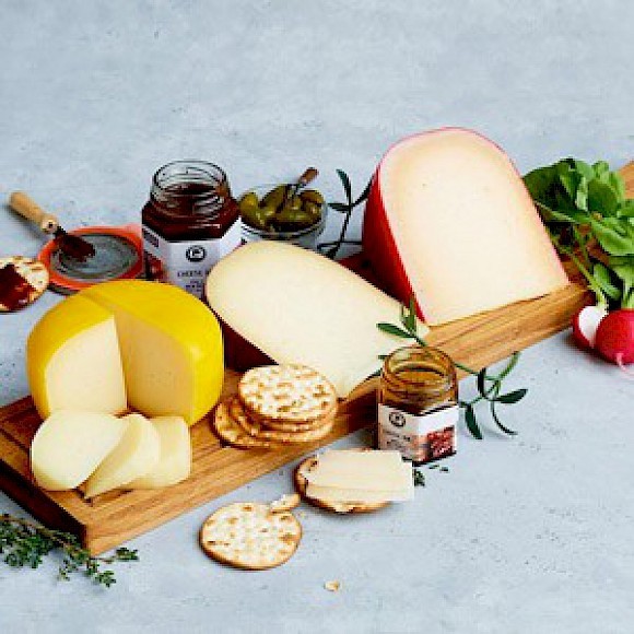 Sheep cheese